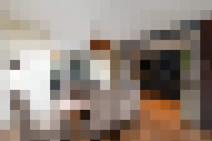 Van Stolbergstrjitte 43 Kootstertille thumbnail 12