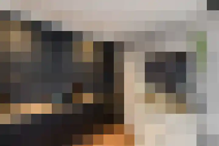 Van Stolbergstrjitte 43 Kootstertille thumbnail 16
