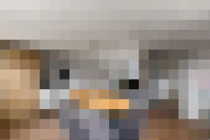 Van Stolbergstrjitte 43 Kootstertille thumbnail 20