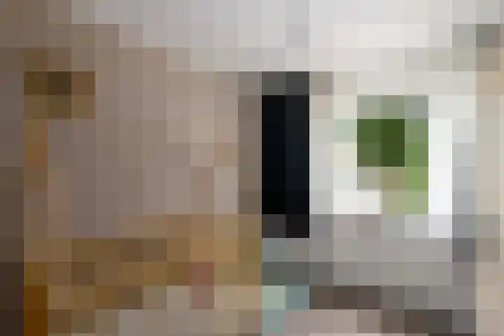 Van Stolbergstrjitte 43 Kootstertille thumbnail 32
