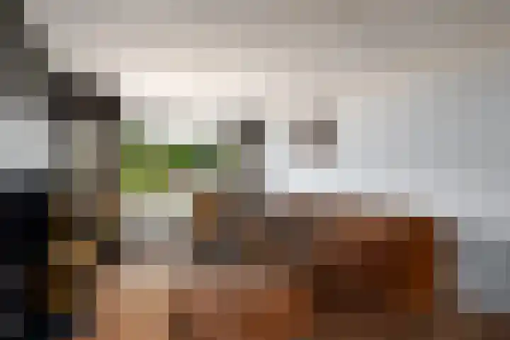Van Stolbergstrjitte 43 Kootstertille thumbnail 9