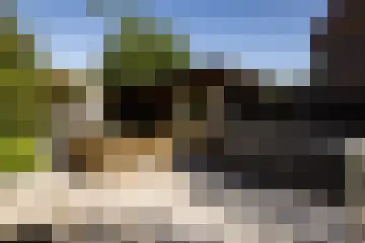 van Stolbergweg 1 Zandvoort thumbnail 30