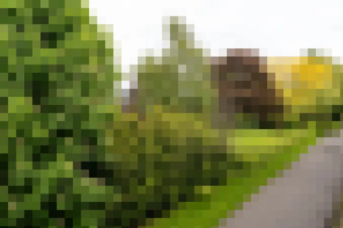 van Stolbergweg 29 Veendam thumbnail 24