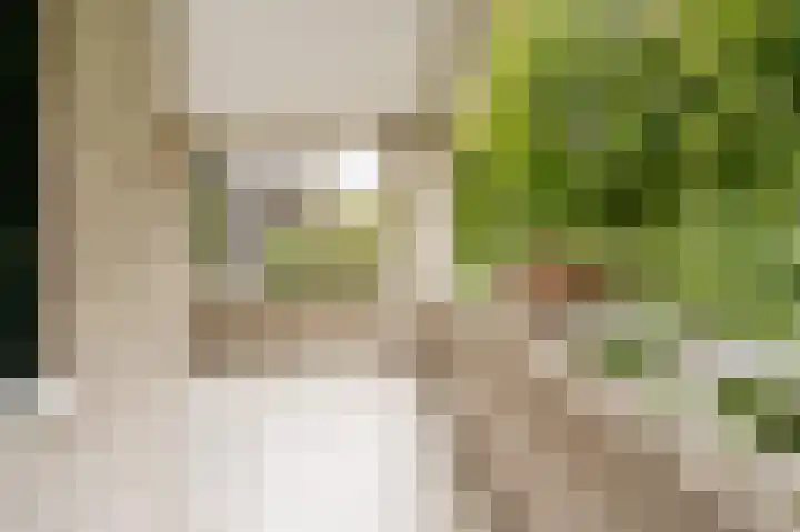 Van Stolkweg 17 A Den Haag thumbnail 15