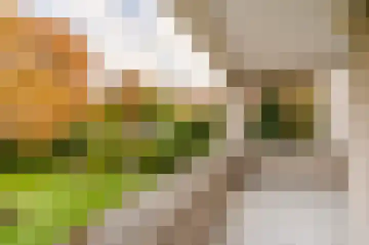 Van Stolkweg 17 A Den Haag thumbnail 27