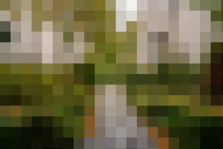 Van Stolkweg 17 A Den Haag thumbnail 31