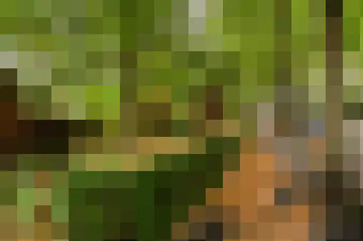 Van Stolkweg 17 A Den Haag thumbnail 32