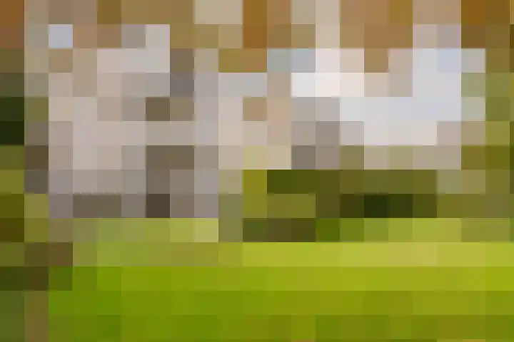 Van Stolkweg 17 A Den Haag thumbnail 33