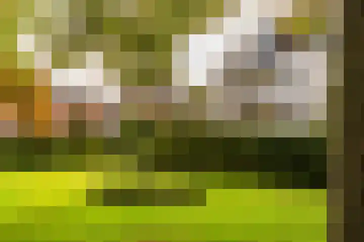 Van Stolkweg 17 A Den Haag thumbnail 34