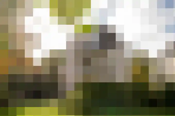 Van Stolkweg 17 A Den Haag thumbnail 35