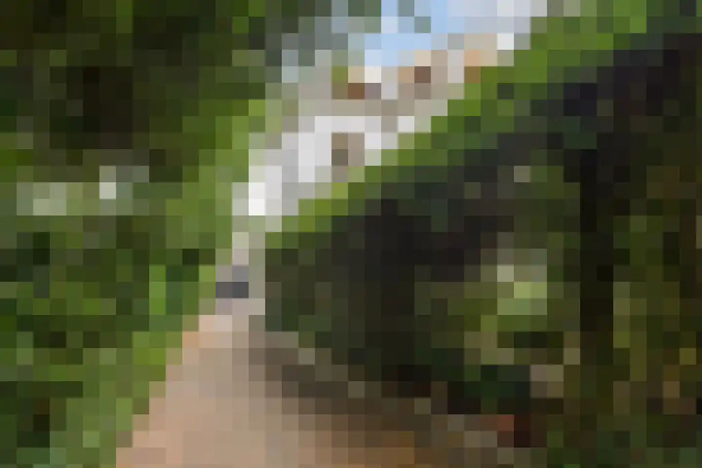 Van Stolkweg 9 A Den Haag thumbnail 5