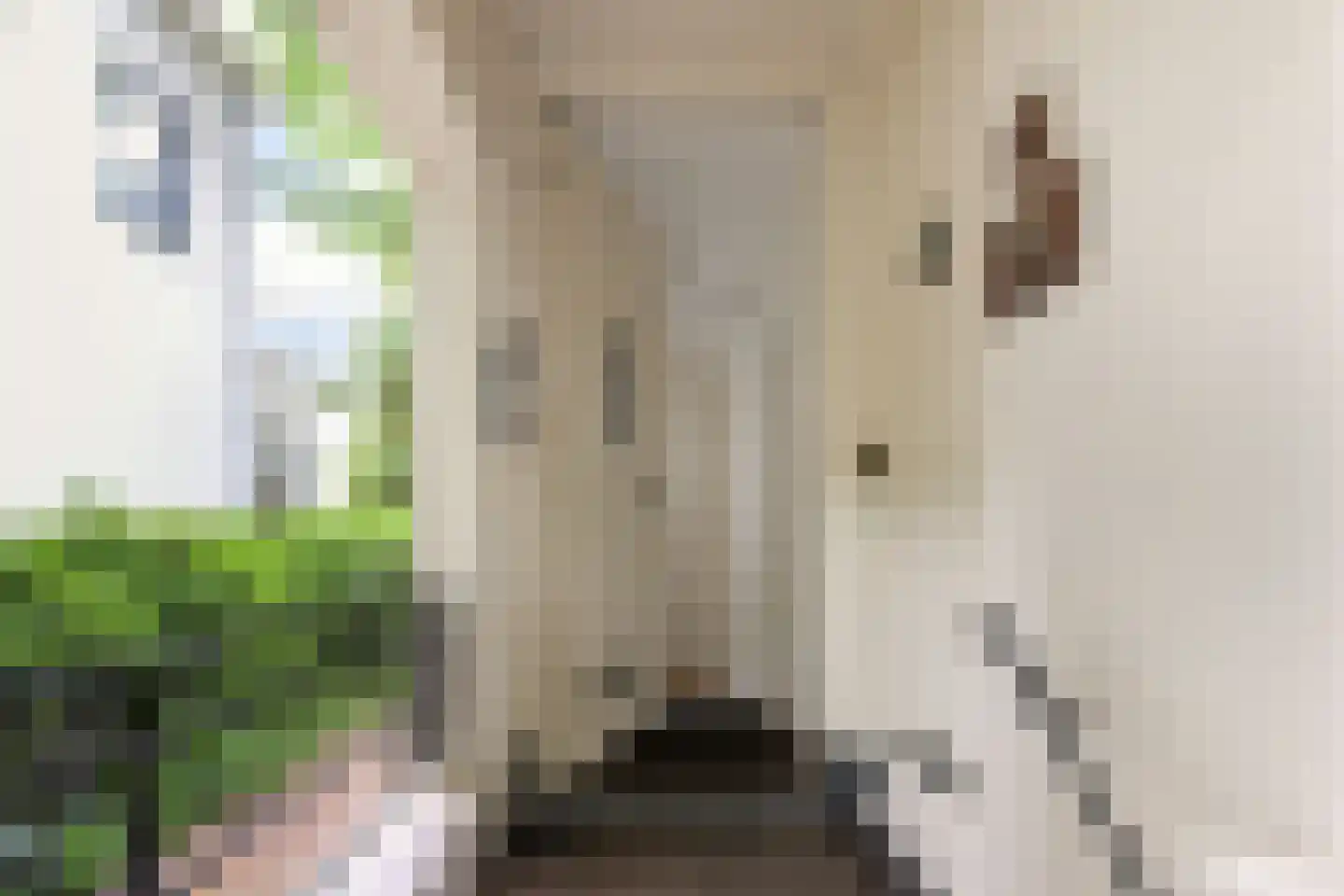Van Stolkweg 9 A Den Haag thumbnail 6