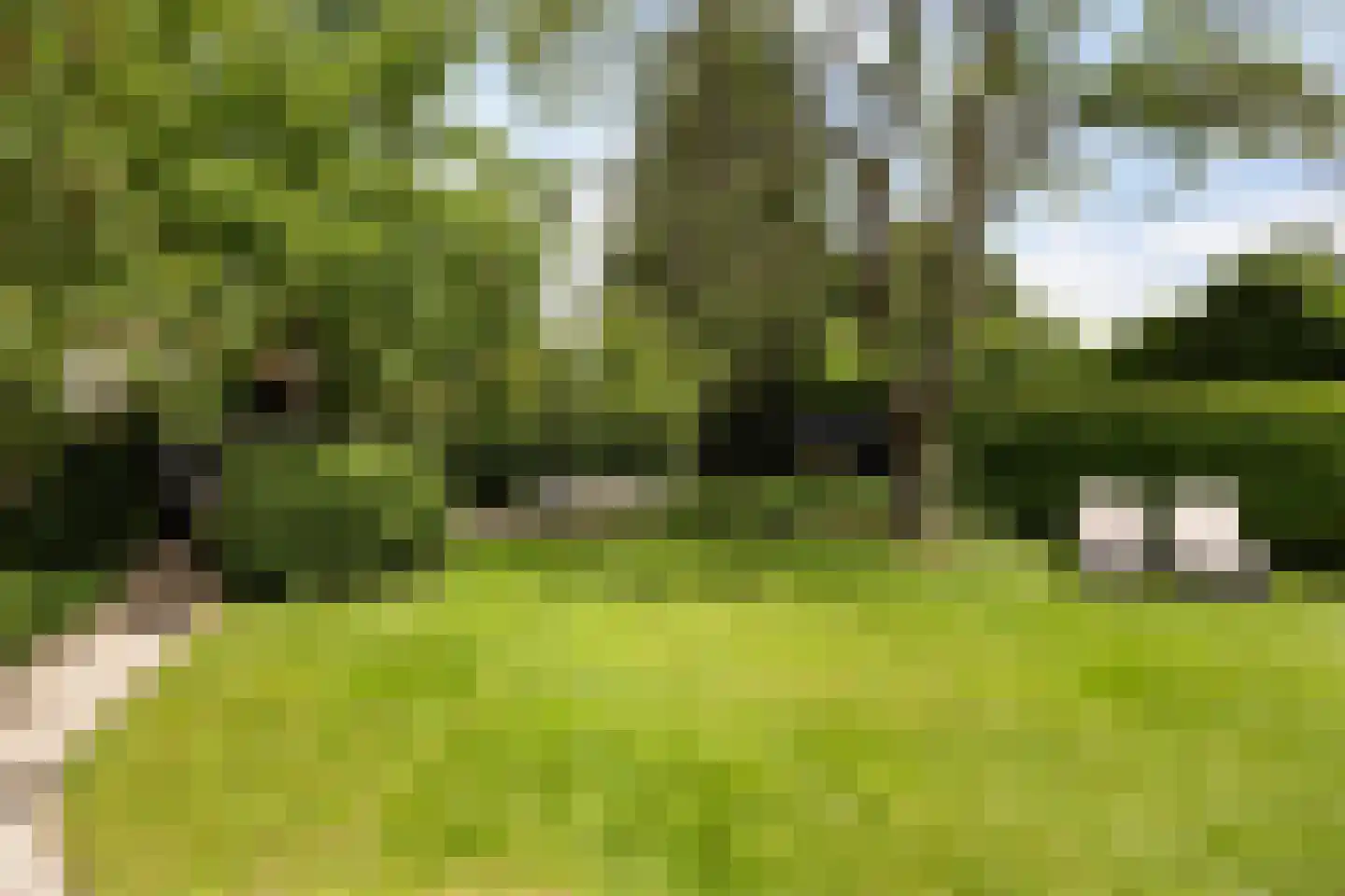 van Straelenlaan 11 Soest thumbnail 31