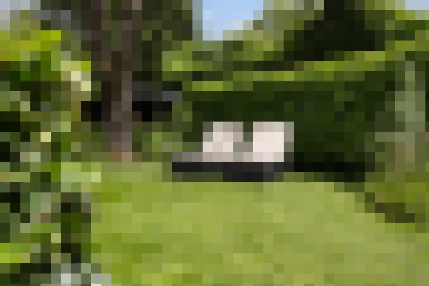 van Straelenlaan 11 Soest thumbnail 32