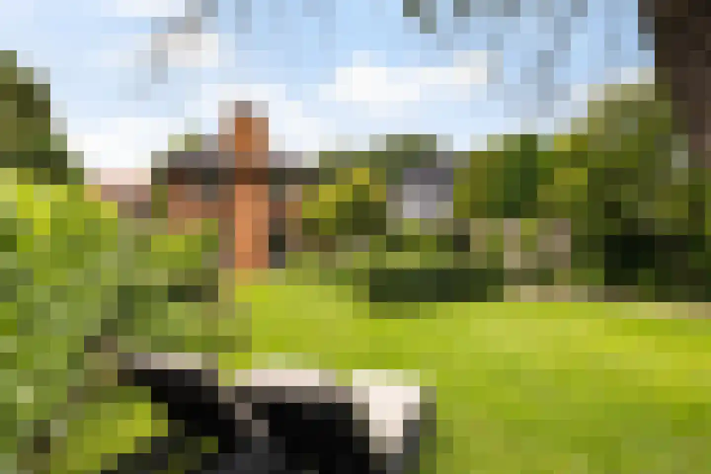 van Straelenlaan 11 Soest thumbnail 33