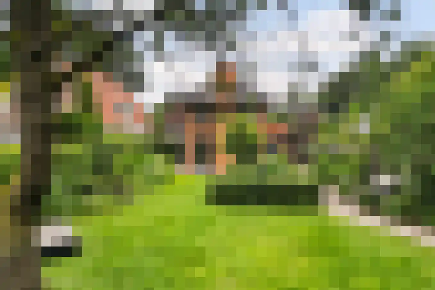 van Straelenlaan 11 Soest thumbnail 39