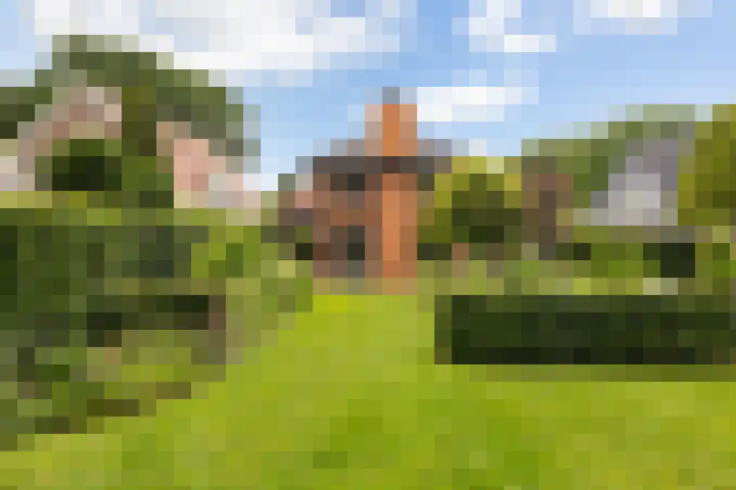 van Straelenlaan 11 Soest thumbnail 4