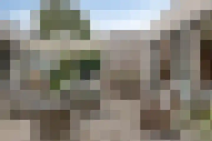 Van Straelenlaan 12 's-Hertogenbosch thumbnail 37