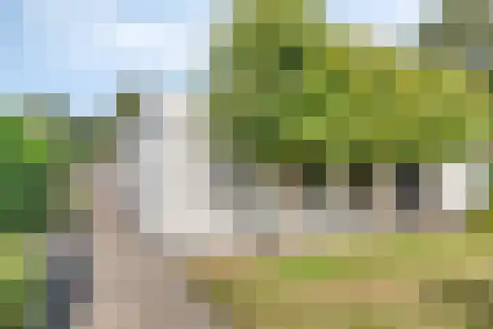 Van Straelenlaan 12 's-Hertogenbosch thumbnail 39