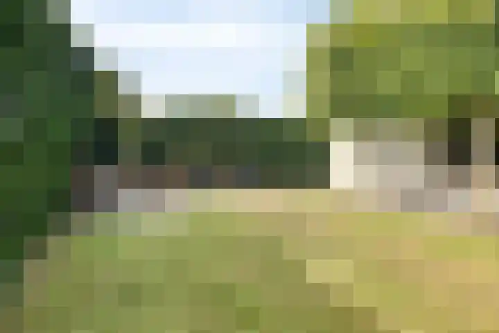 Van Straelenlaan 12 's-Hertogenbosch thumbnail 40