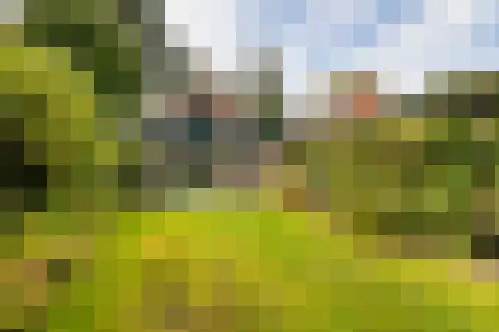van Straelenlaan 15 Soest thumbnail 27