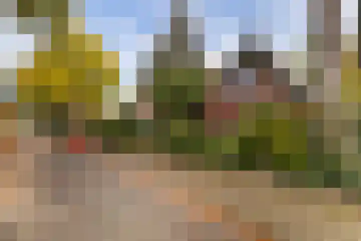 van Straelenlaan 15 Soest thumbnail 32