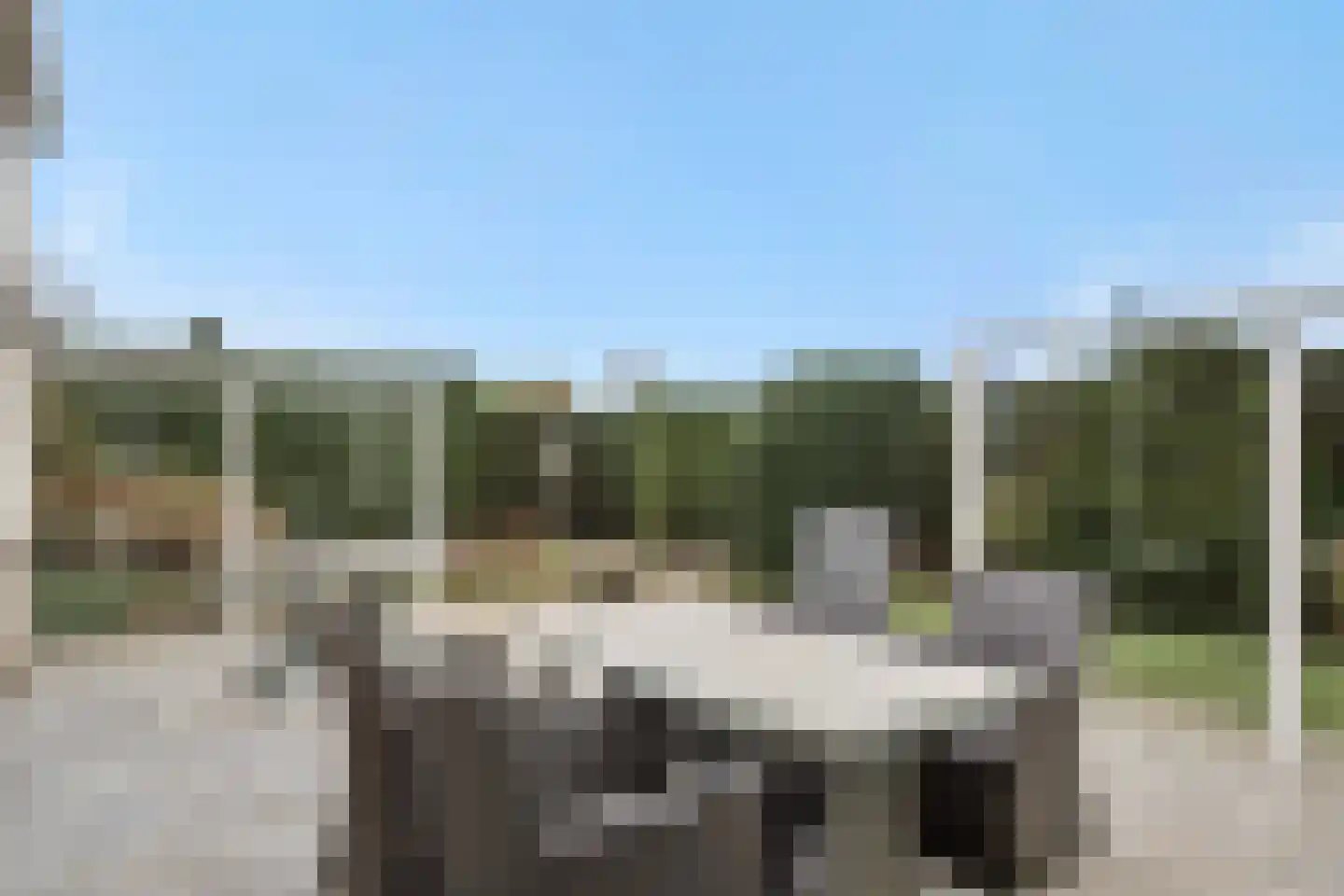 Van Straelenlaan 16 's-Hertogenbosch thumbnail 35