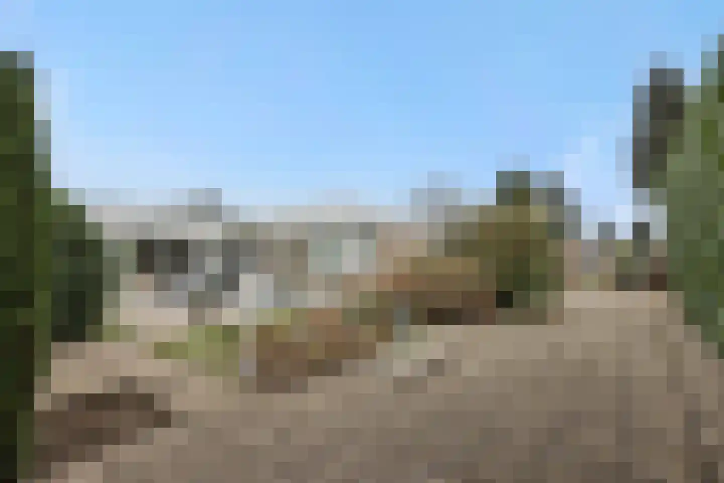 Van Straelenlaan 16 's-Hertogenbosch thumbnail 38