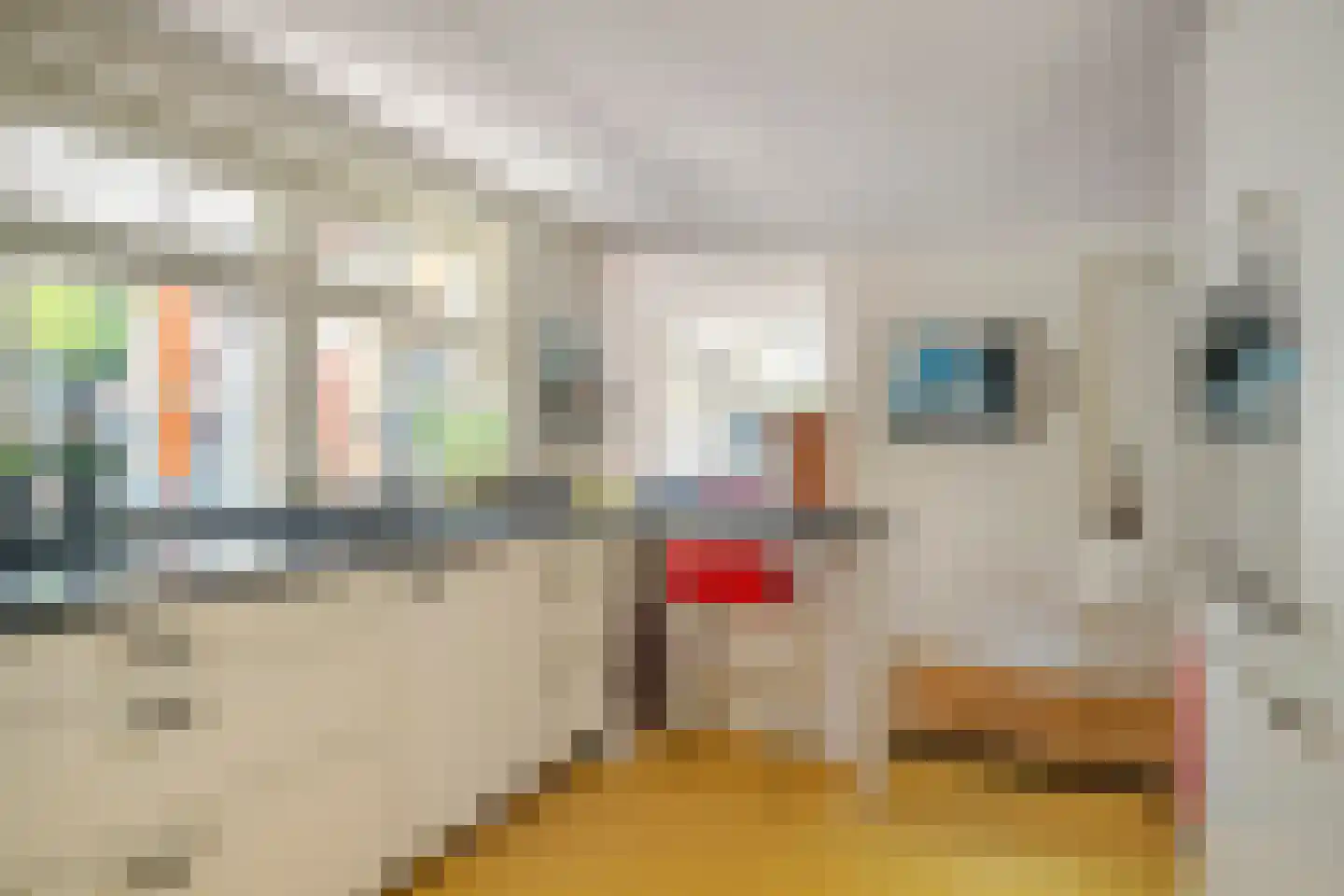 van Straelenlaan 3 Soest thumbnail 14