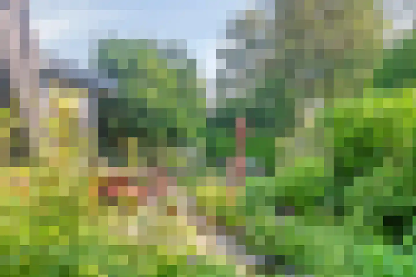van Straelenlaan 3 Soest thumbnail 40