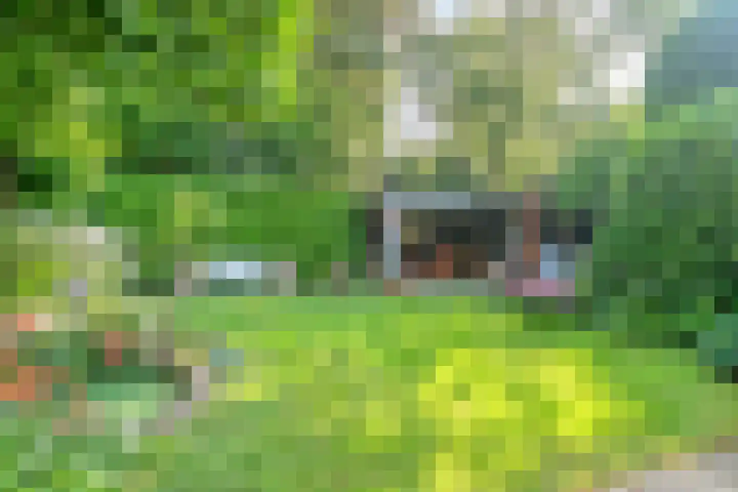van Straelenlaan 3 Soest thumbnail 41