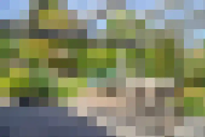 van Straelenlaan 6 A Soest thumbnail 11