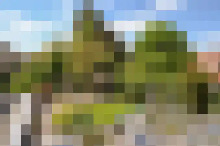 van Straelenlaan 6 A Soest thumbnail 34