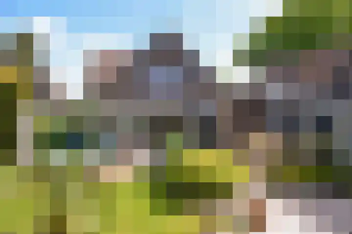 van Straelenlaan 6 A Soest thumbnail 4