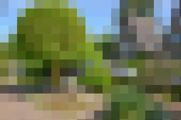 van Straelenlaan 6 A Soest thumbnail 46