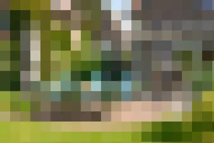 van Straelenlaan 6 A Soest thumbnail 5