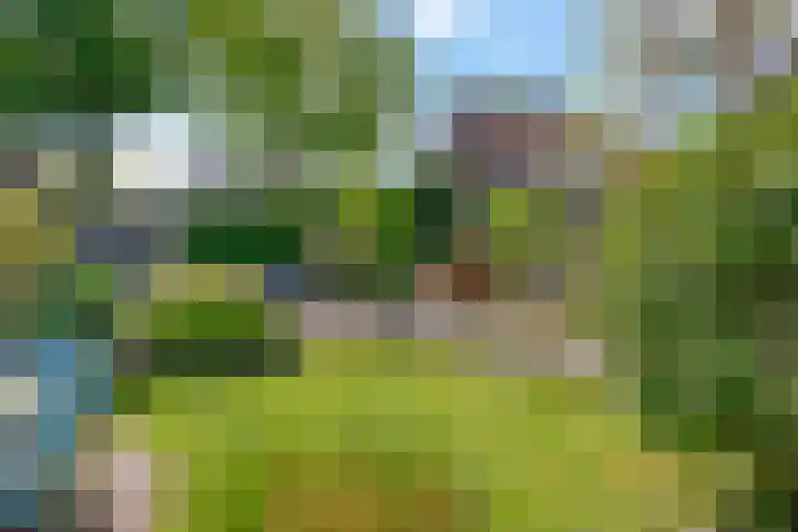 van Straelenlaan 6 A Soest thumbnail 8
