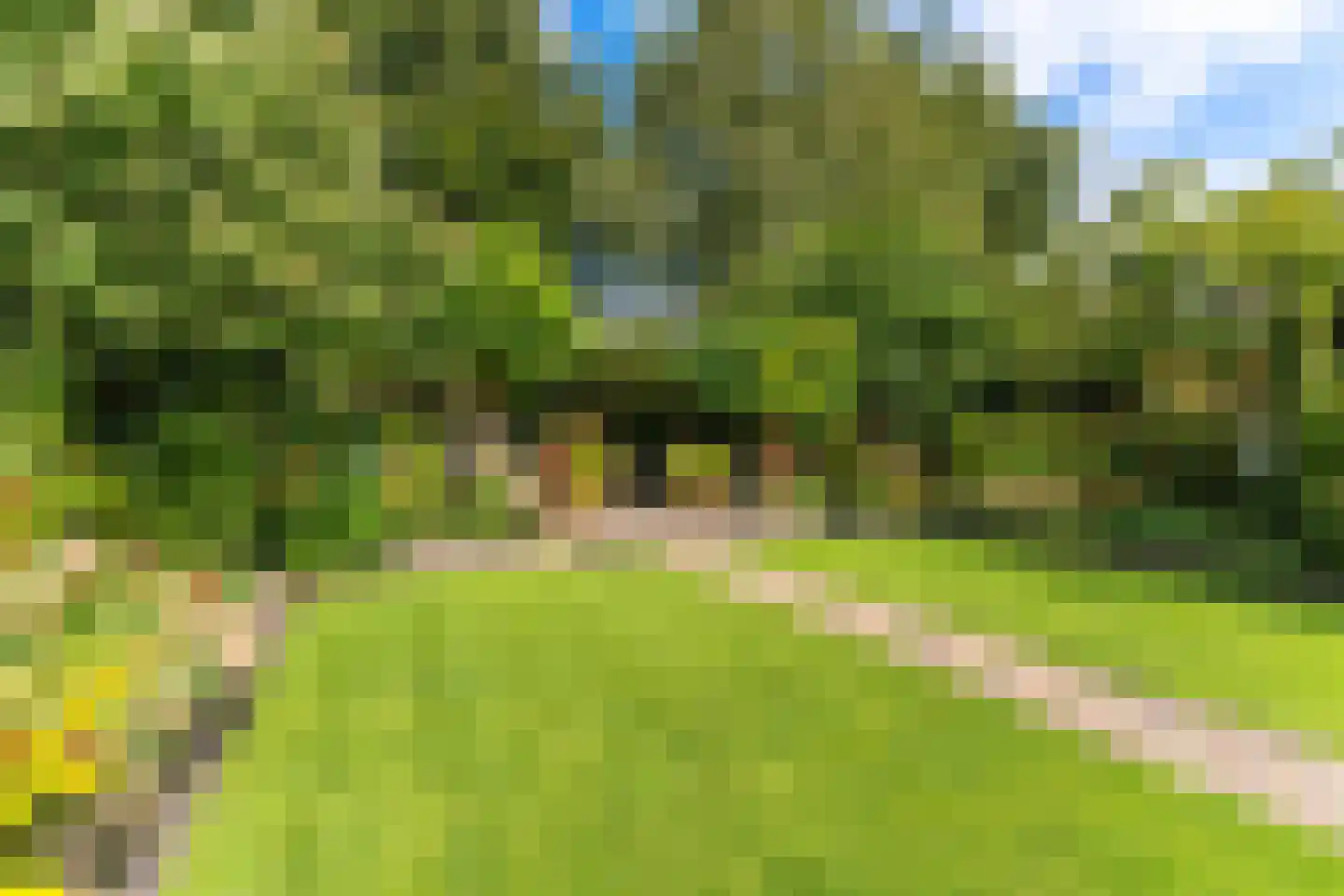 van Straelenlaan 7 Soest thumbnail 60