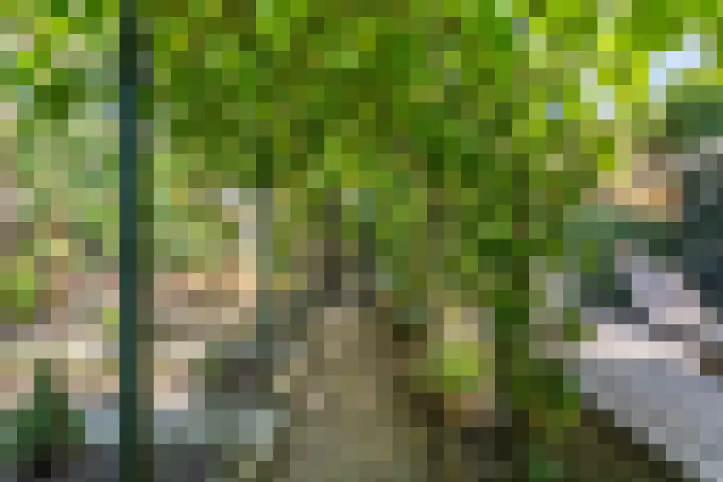 van Straelenlaan 7 Soest thumbnail 64