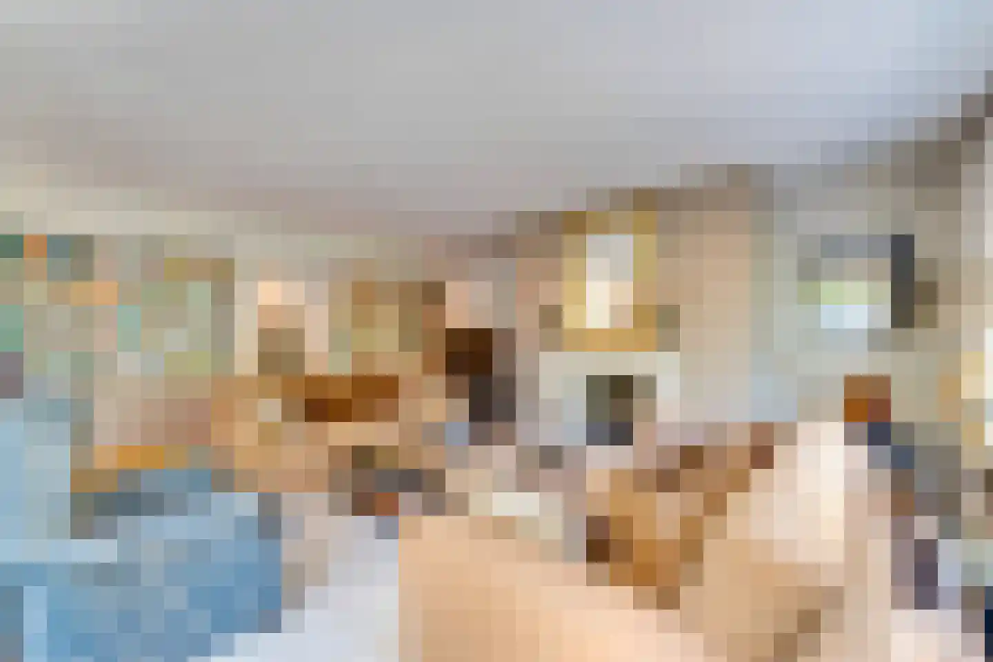 van Straelenlaan 7 Soest thumbnail 7