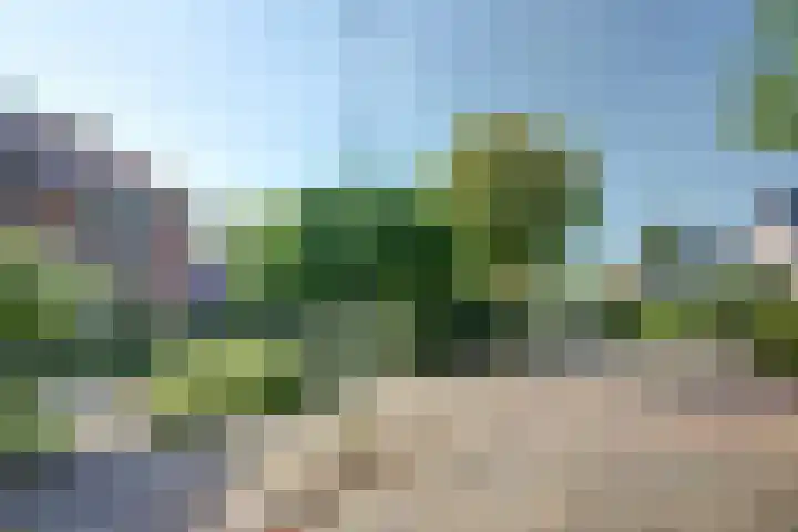 van Straelenlaan 8 Soest thumbnail 13