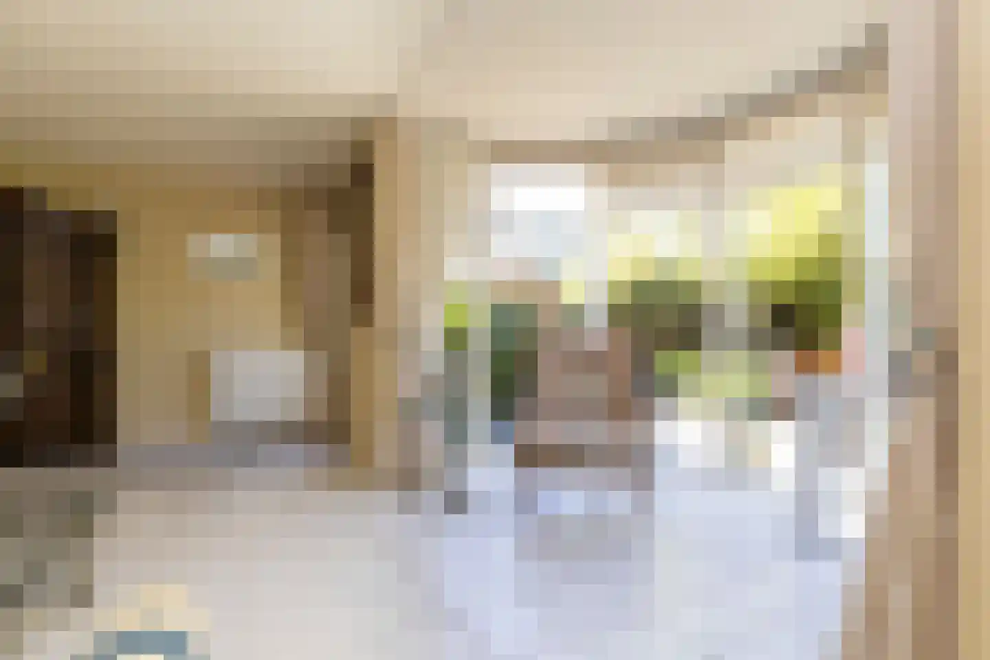 van Stralenstraat 6 Culemborg thumbnail 18