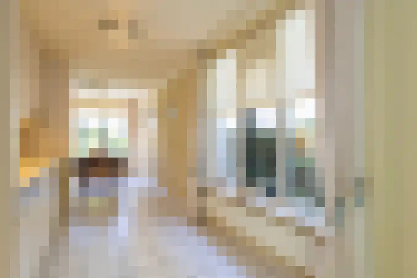 van Stralenstraat 6 Culemborg thumbnail 23
