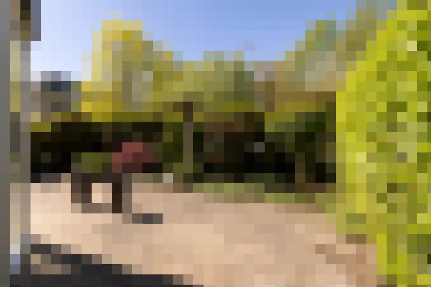 van Stralenstraat 6 Culemborg thumbnail 33