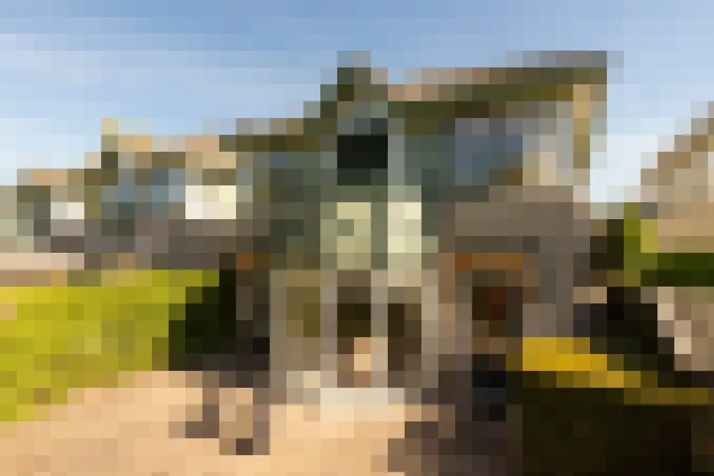 van Stralenstraat 6 Culemborg thumbnail 34