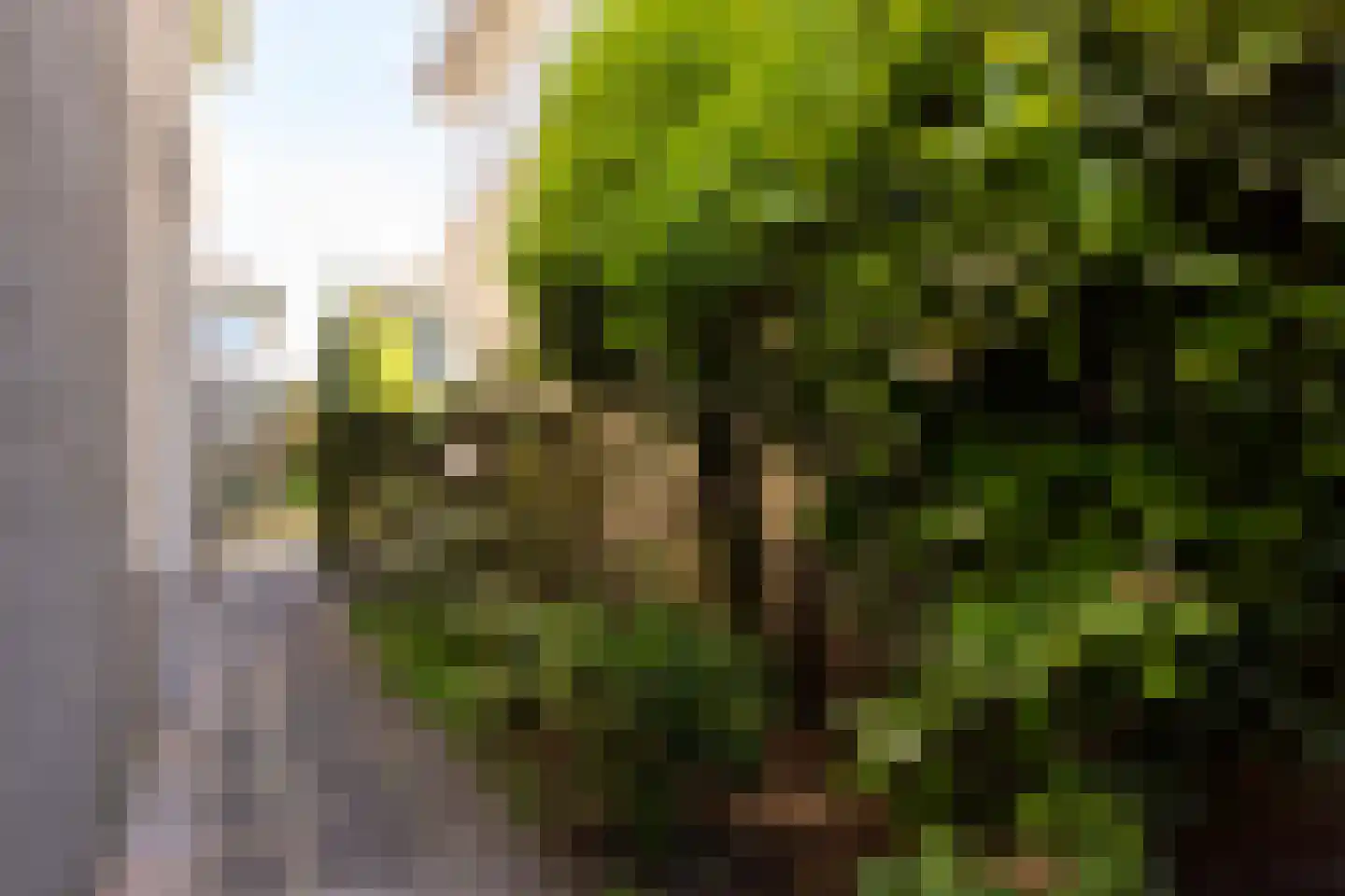 van Stralenstraat 6 Culemborg thumbnail 36