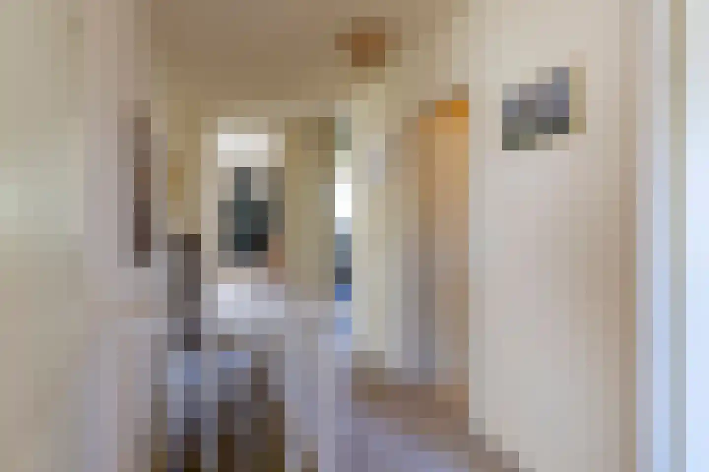 van Stralenstraat 6 Culemborg thumbnail 37
