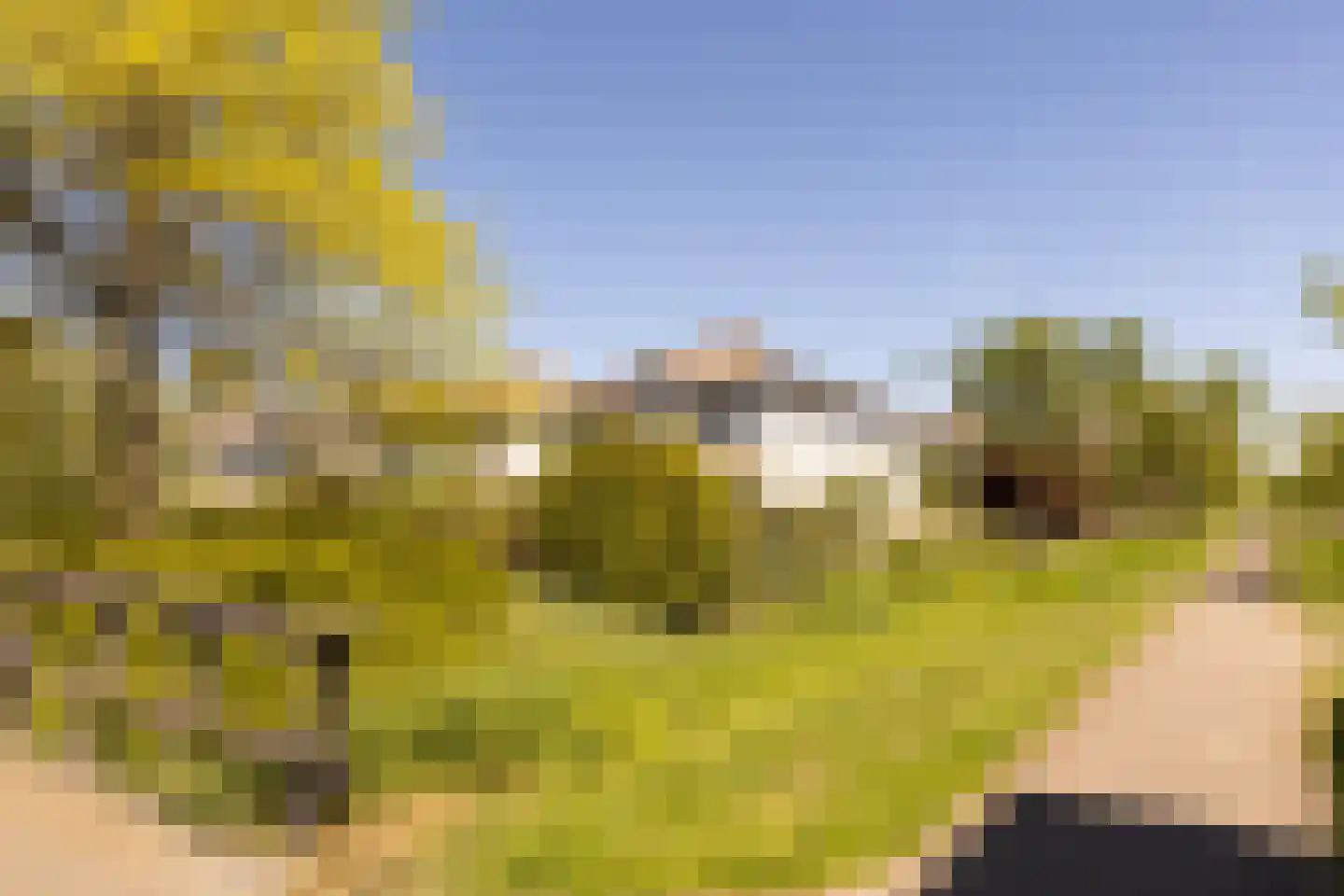 van Stralenstraat 6 Culemborg thumbnail 7