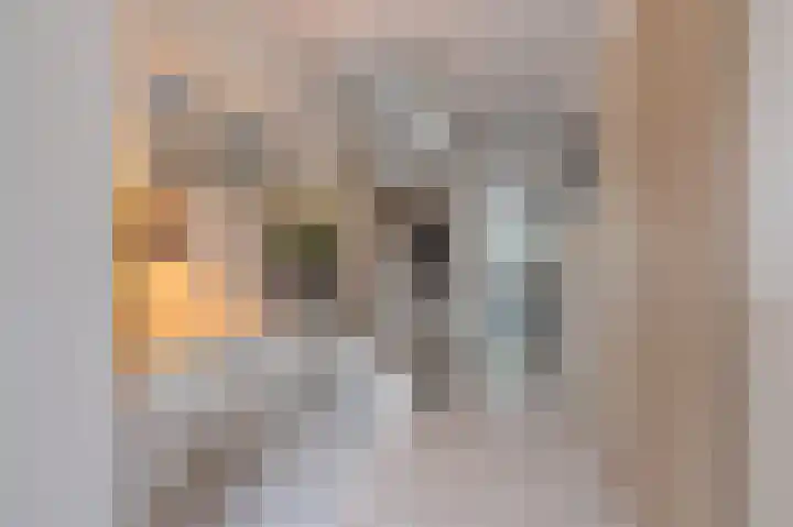 van Stralenstraat 8 Culemborg thumbnail 12