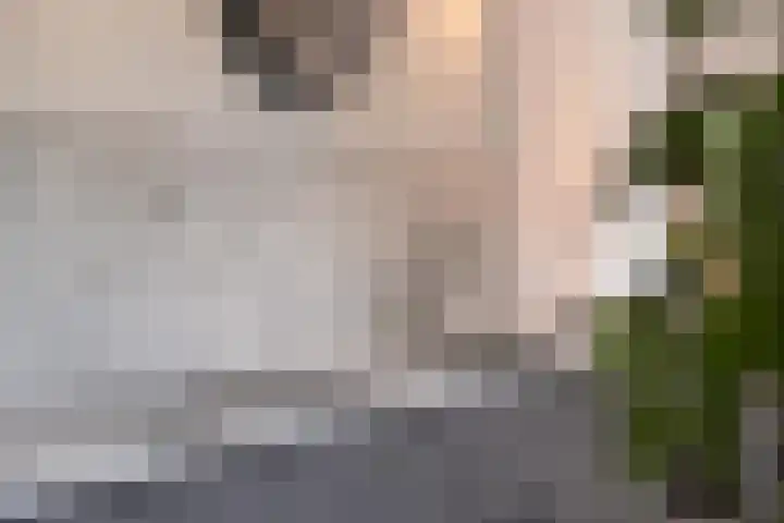 van Stralenstraat 8 Culemborg thumbnail 23
